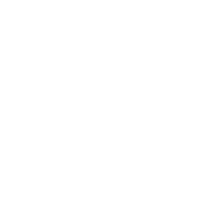 Wordpress Service Pakete Chur